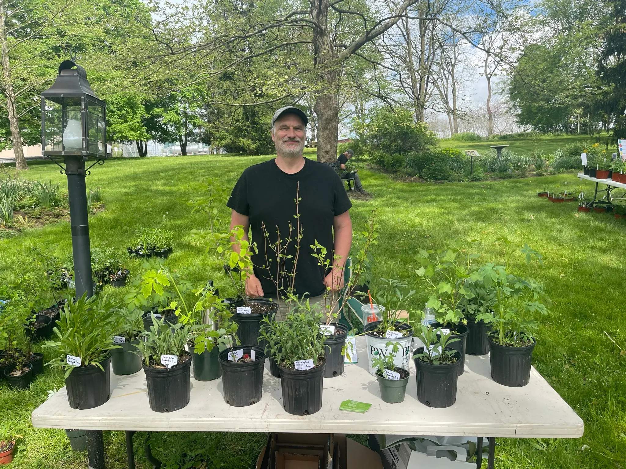Backyard Forest