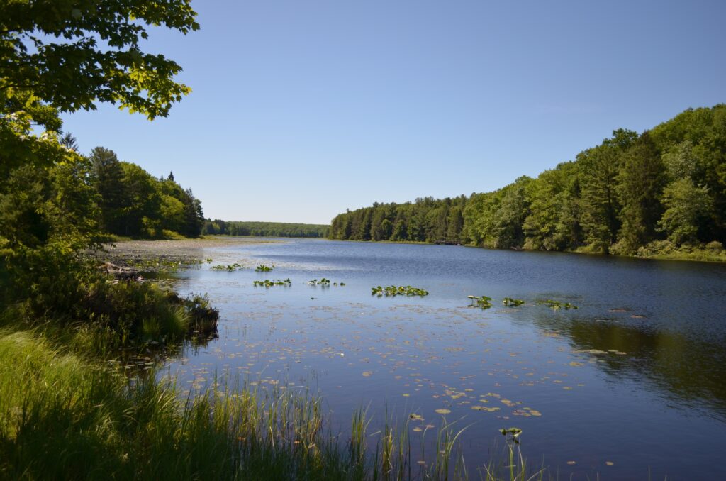 Black Moshannon Lake is fed by the streams that flow through the bogs stretching from its shores. (Centre County