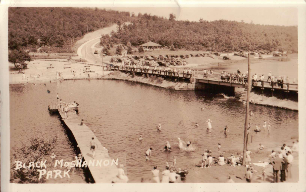 Black Moshannon Park has long been a popular spot for swimming in the summer. (Postcard courtesy of Vonnie Henninger)