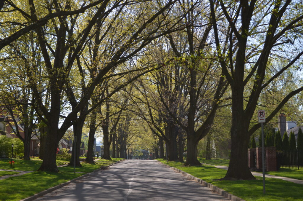 College Heights is known for its tree-lined streets and cohesive scale. (Centre County Historical Society)