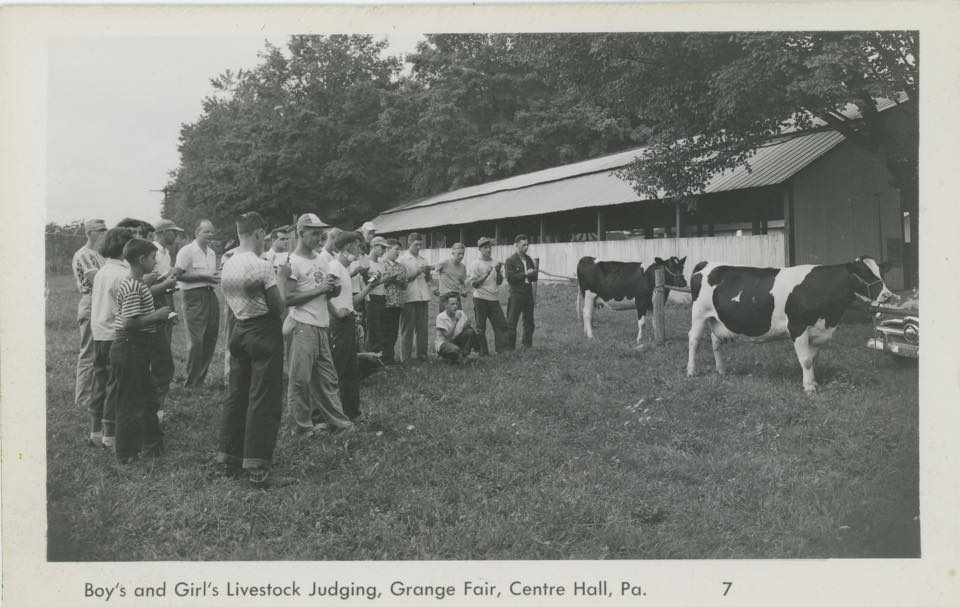 Livestock judging has long been an important part of the Grange Fair. (Centre County Historical Society)