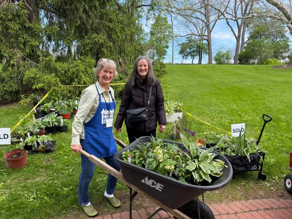 CCHS Plant Sale