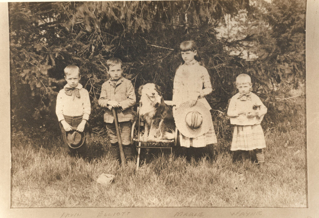 Irvin, Elliott, Mable, Wayne Thompson