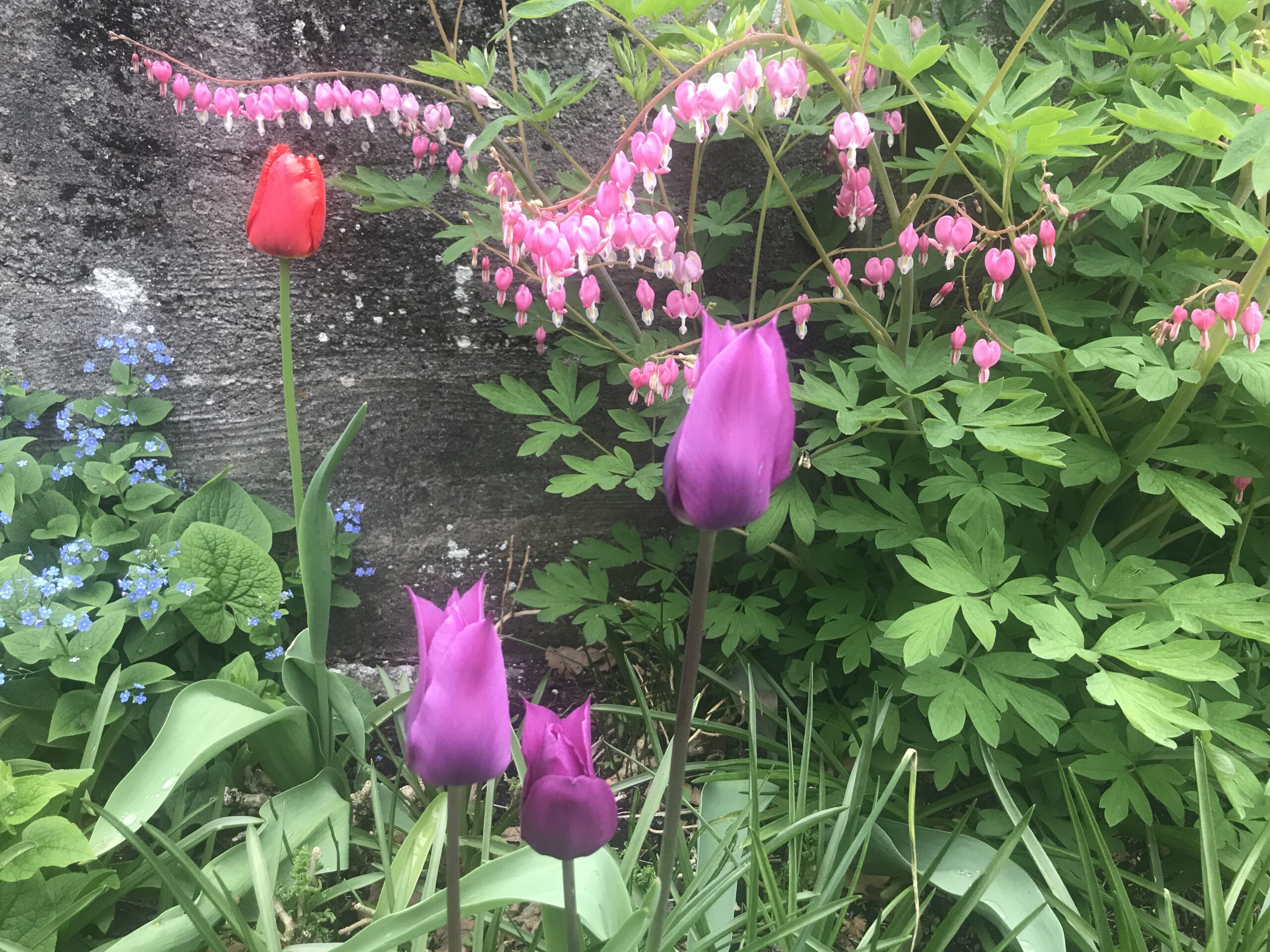 Gardens & Grounds