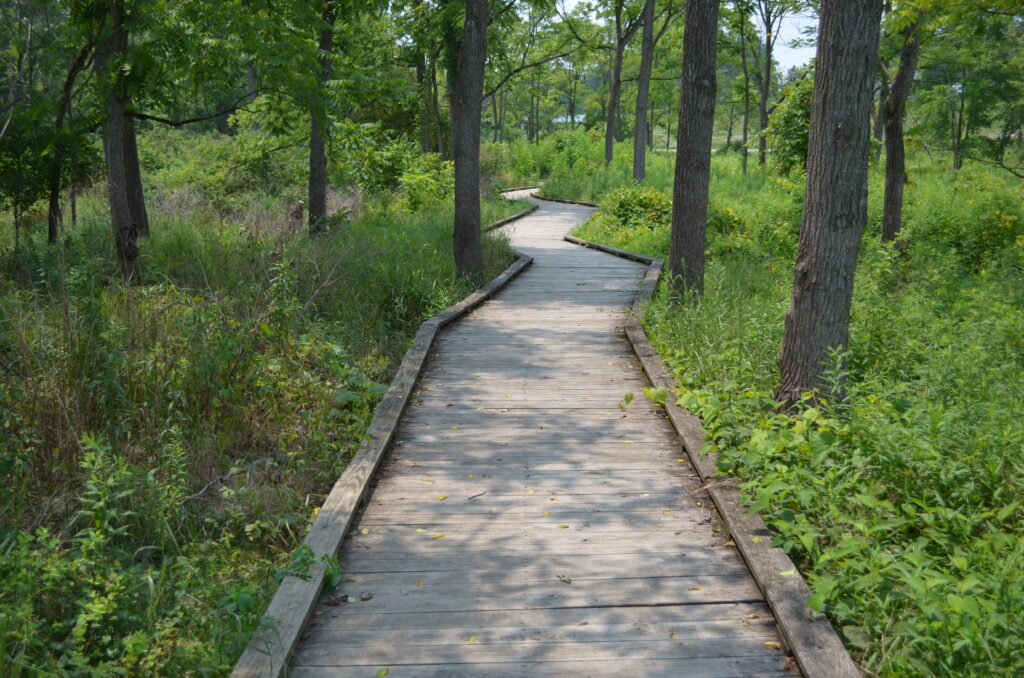 The Millbrook Marsh Nature Center features a boardwalk that winds through the 50-acre wetland. (Centre County