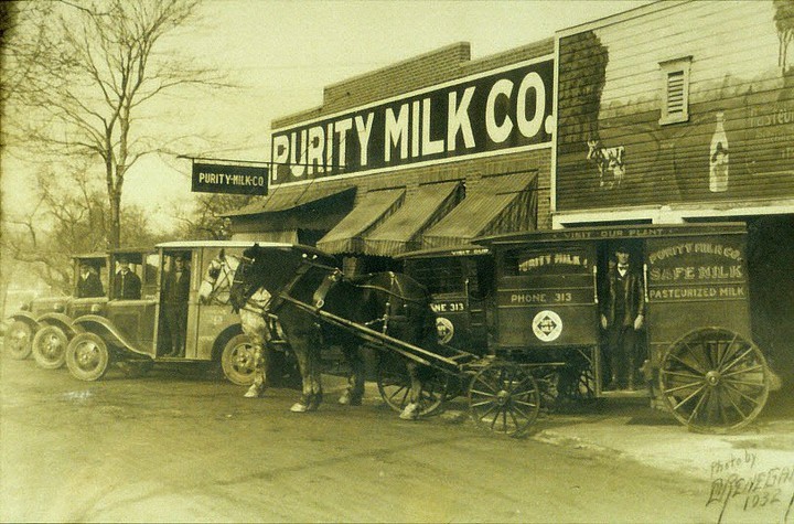 The Purity Milk Company bought milk from farmers and delivered it to customers in motorized and horse-drawn carriages.