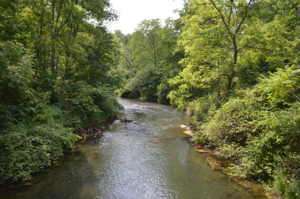 Spring Creek and its watershed have been a focus of the ClearWater Conservancy's conservation and restoration efforts