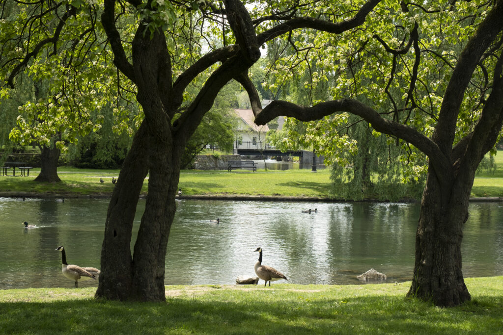 Talleyrand Park is on the banks of Spring Creek in Bellefonte. (Photograph by Will Yurman)
