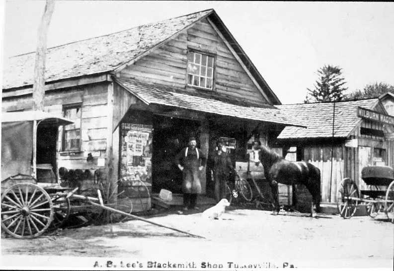 Gallery image 14