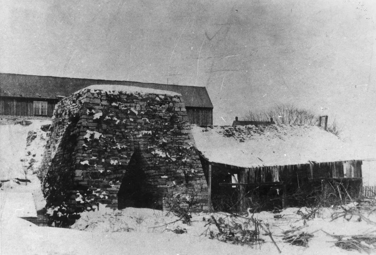 Gallery image 4
