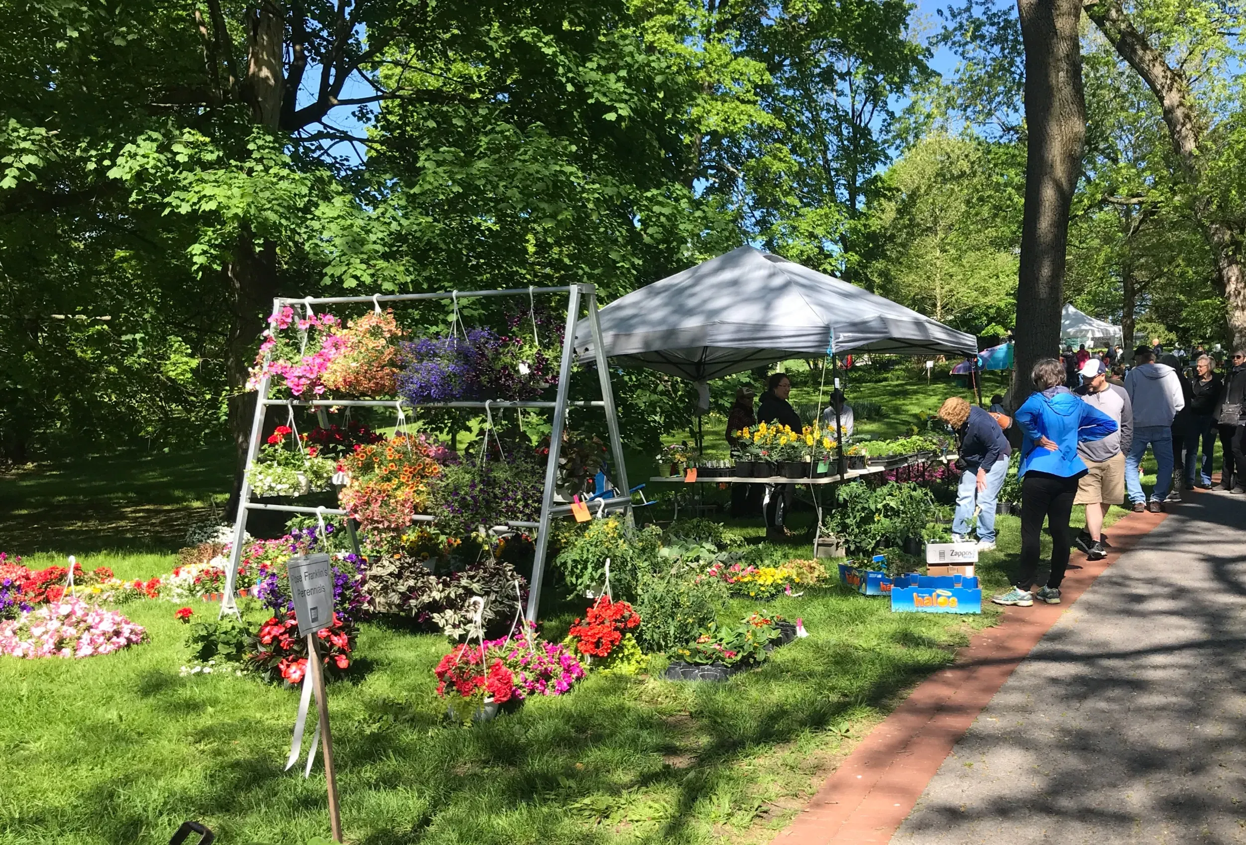 Shuey's Market & Greenhouse